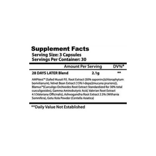 Insane Labz - 28 days later INSANE LABZ